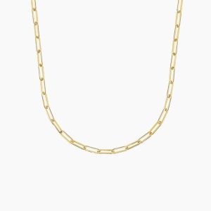 Devon 18 in. Lightweight Paperclip Chain Necklace (Small) in 14K Yellow Gold