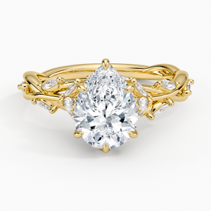Secret Garden Diamond Ring (1/2 ct. tw.) in 14K Yellow Gold